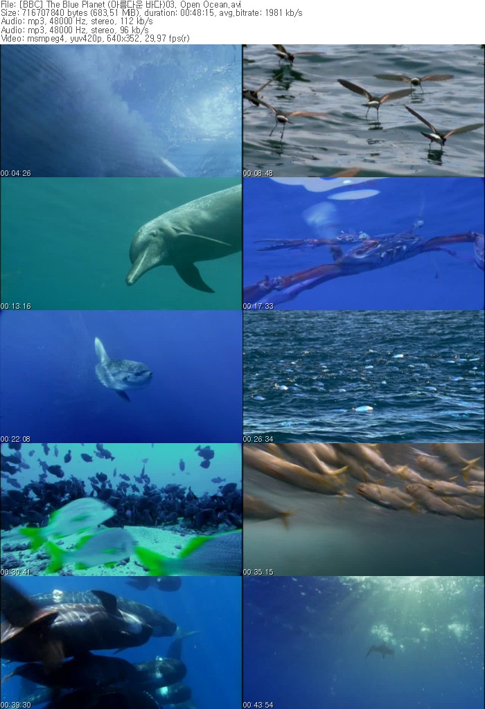 sea life vs blue planet