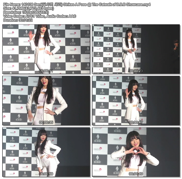 [직캠영상]B.B.B( Big Baby Baby)- Dal Shabet (달샤벳) Live @ Press Showcase.140108